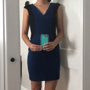 Zara Pencil Dress